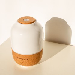 דיפיוזר ראשי